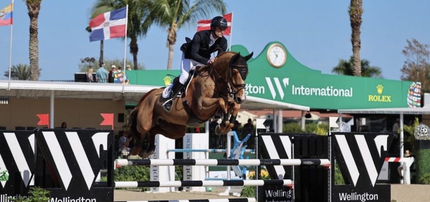 Richard Vogel schlägt McLain Ward in Wellington