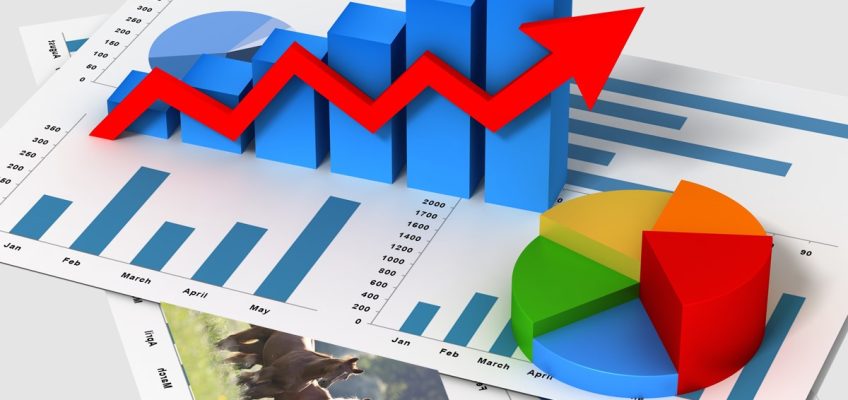 Turnierstatistik: So viele Veranstaltungen wie vor Corona!