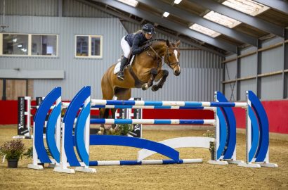 Youhorse.auction: Showjumping talent and proven damlines