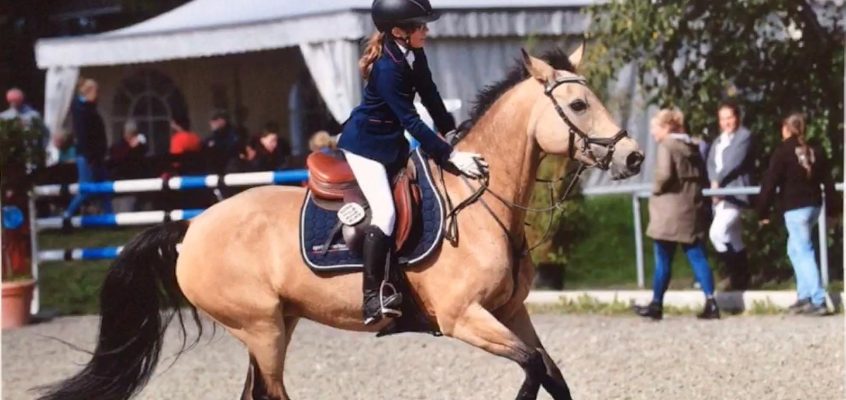 Rank your Horse – Ranking für Reiterinnen und Reiter auf A und L Niveau geht in 2. Runde