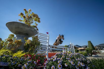 Oldenburger Springpferde gesucht für Jumping Global Champions Trophy