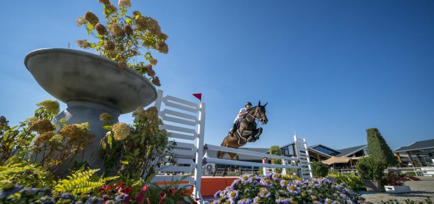 Oldenburger Springpferde gesucht für Jumping Global Champions Trophy