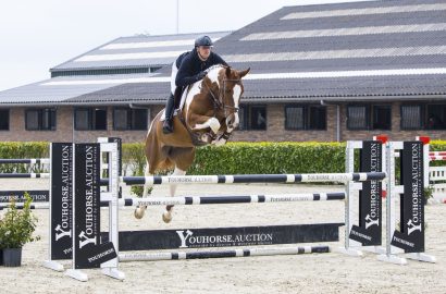 Lassen Sie sich von der neuen Youhorse.auction-Kollektion überraschen