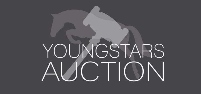 Youngstars Auction: Oldenburg-International & Friends