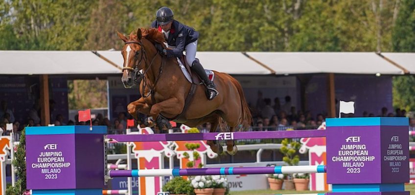 Blick in den Stammbaum von Julien Epaillards Dubai du Cedre: Vive La France!