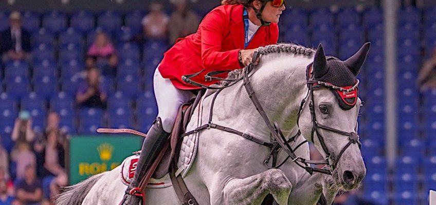 Oldenburger Hengst-Tage: Hickstead White ist VTV-Hengst des Jahres!