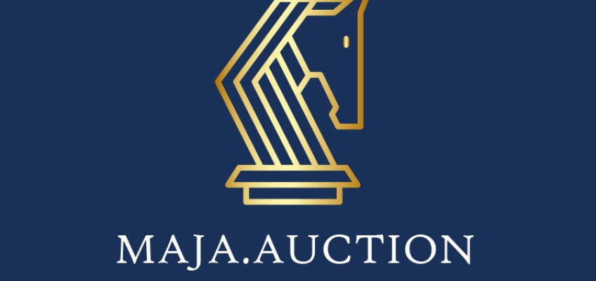 MaJa Sport Horse Auction – Das neue Online-Auktionsportal in Deutschland 