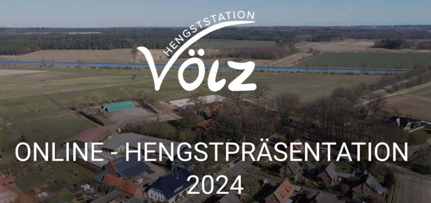 Online Hengstvorführung der Hengststation Völz