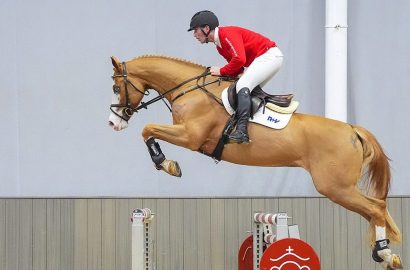 Drei Pferde knacken bei Westfalen-Auktion die 100.000 Euro-Marke