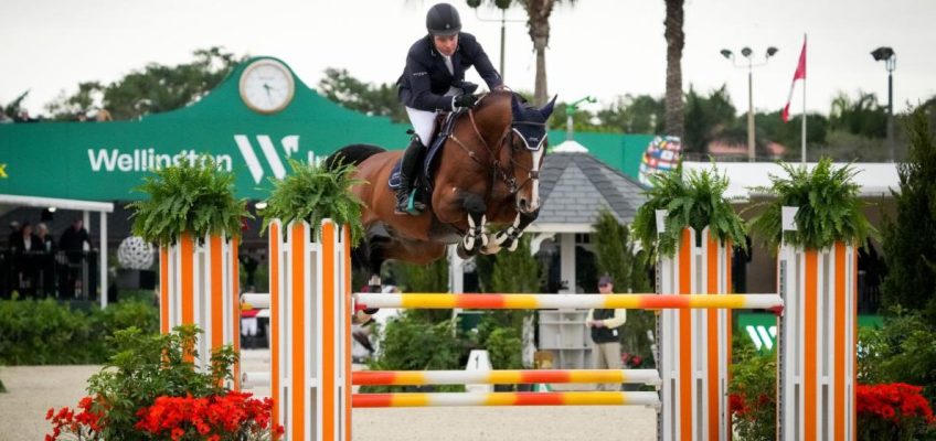 Cian O’Connor gewinnt Titel des besten internationalen Reiters in Wellington