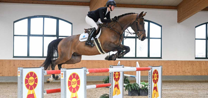 Premiere gelungen: Spitzenpreis von 137.000 Euro bei DSP-Reitpferdeauktion auf Gut Ising