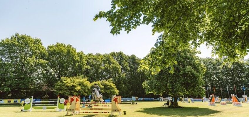 Von Reitern für Reiter organisiert: Tasdorfer Turniertage