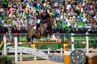 Olympiastute und 35 Fohlen bei der Flanders Foal Auction