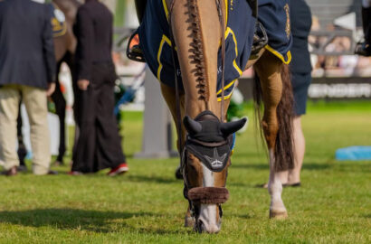 Sandra Auffarth Dritte im Falsterbo-Derby, Sieger Abdel Said vor Steve Guerdat