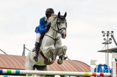 Christian Ahlmann bester Deutscher im CSI4* Grand Prix in Valkenswaard