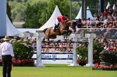 Flanders Foal Auction: Top-Embryonen, eine Weltmeisterstute und außergewöhnliche Fohlen
