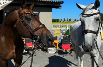 Alle deutschen Pferde beim Vet Check in A Coruña „fit to compete“