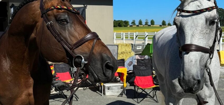 Alle deutschen Pferde beim Vet Check in A Coruña “fit to compete”