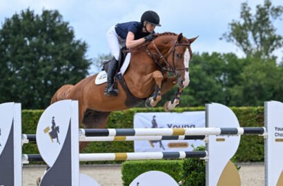 Young Champions Auction – Entdecken Sie die Kollektion gerittener Talente