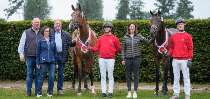 Westfälische Eliteschau: Die besten jungen Reitpferdedamen Westfalens