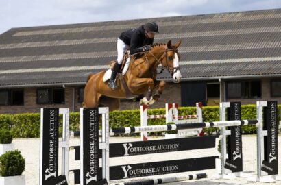 Youhorse.auction verkauft in 27 verschiedene Länder