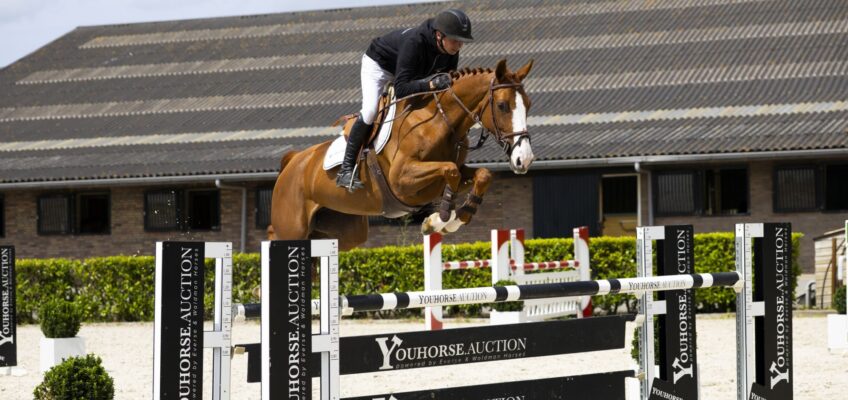 Youhorse.auction verkauft in 27 verschiedene Länder