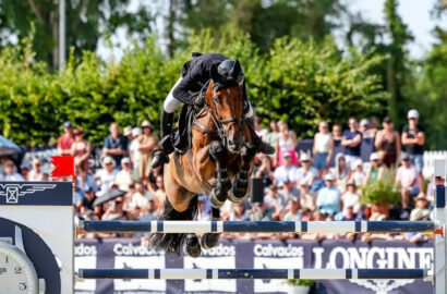 Rick Hemerycks Inoui du Seigneur: Belgische Zucht siegt in Frankreich