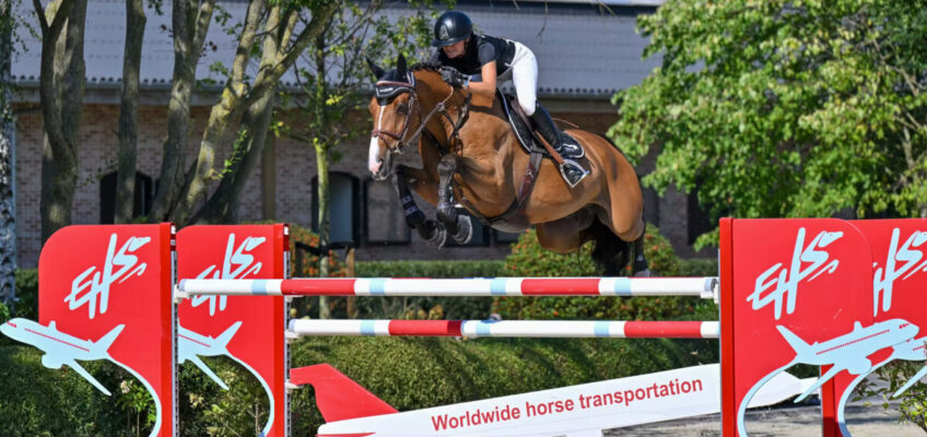 3/4-Schwester von United Touch S, Vollbruder von Echo van ‘t Spieveld, Grand-Prix-Pferde … Equbreeding bereit für sportliches Märchen!