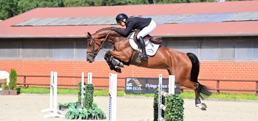 Flyinge Open Sales: 305.000 Euro Auktionsspitze von Chacoon Blue