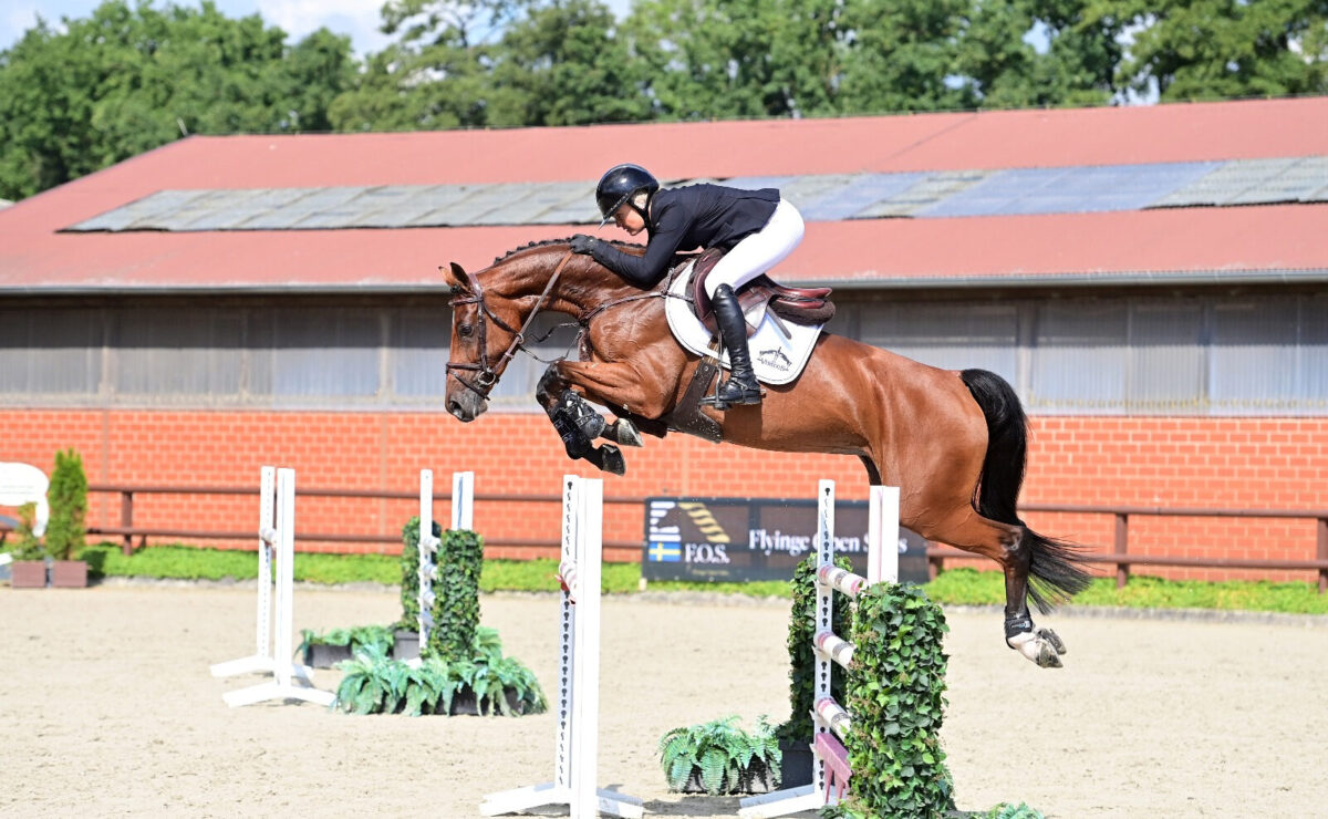 Flyinge Open Sales: 305.000 Euro Auktionsspitze von Chacoon Blue