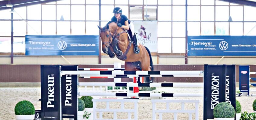 Internationale Springpferdeauktion von Holger Hetzel: Top-Lot und Überraschungen zum Jubiläum