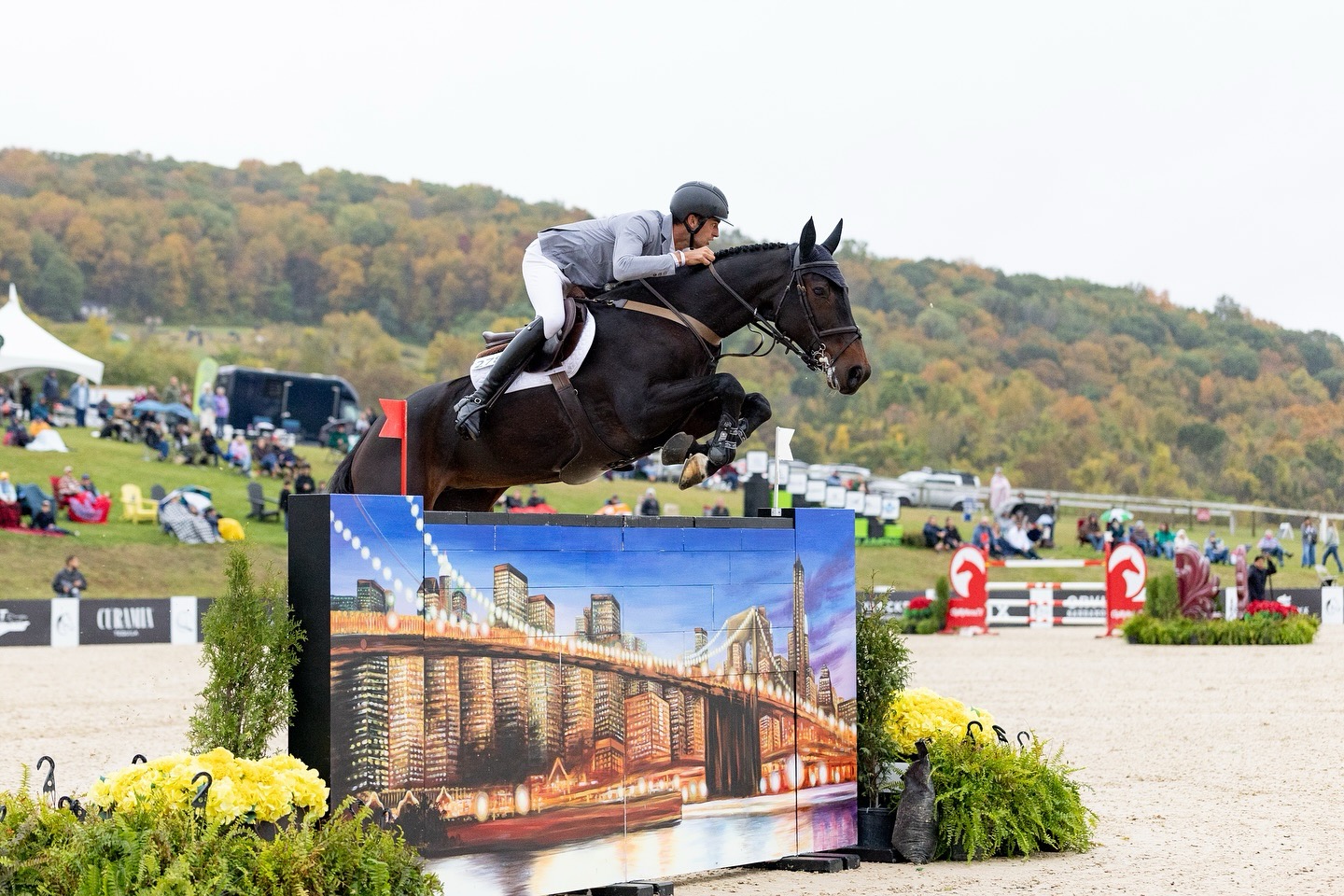Rene Dittmer und Corsica X knacken Jackpot im CSI5* Highlands Cup Grand Prix