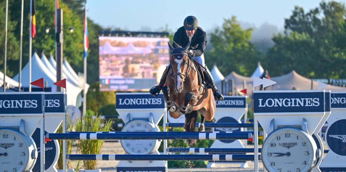 World Championship-Star Ollalla glänzt bei Youhorse.auction mit 100.000-Euro-Gebot