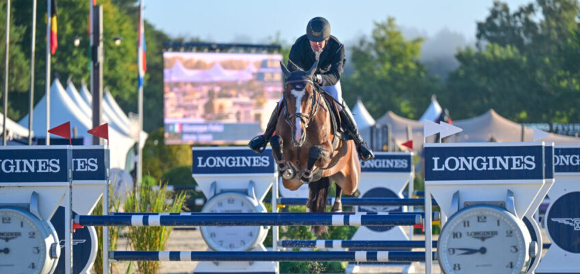 Youhorse.auction offers number 6 of the 5-year-olds at World Championships