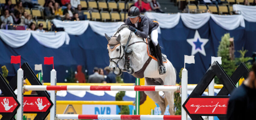 Paul Schockemöhles Top-Vererber Chacoon Blue ist tot
