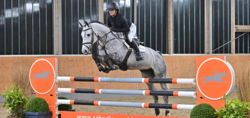 Schockemöhle Online Auktion überspringt zweimal die 100.000 €-Hürde