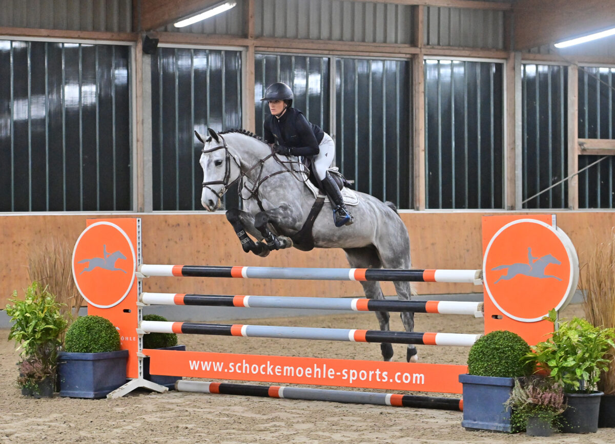 Schockemöhle Online Auktion überspringt zweimal die 100.000 €-Hürde