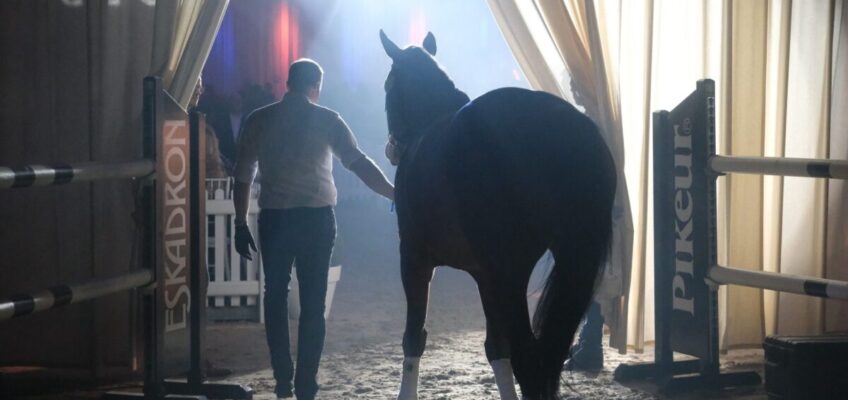 Countdown für die 20. Springpferdeauktion von Holger Hetzel in Goch