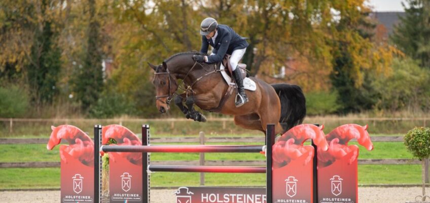 55. Holsteiner Körung und Elite-Reitpferdeauktion: Das Lot ist online