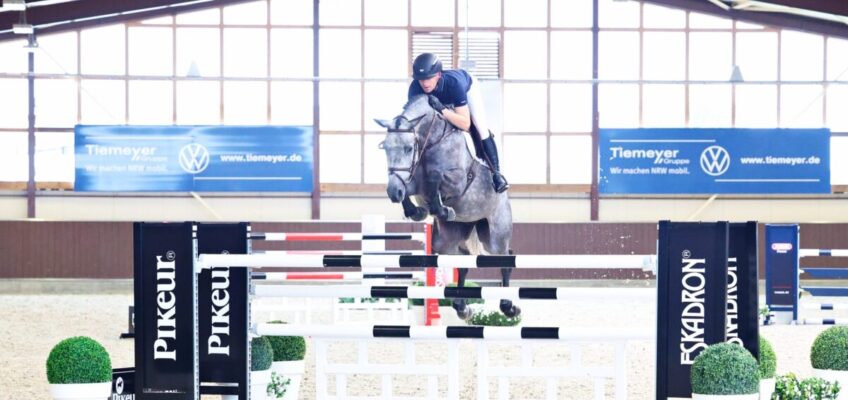 20. Springpferdeauktion Holger Hetzel: Der Service endet nicht nach der Auktion