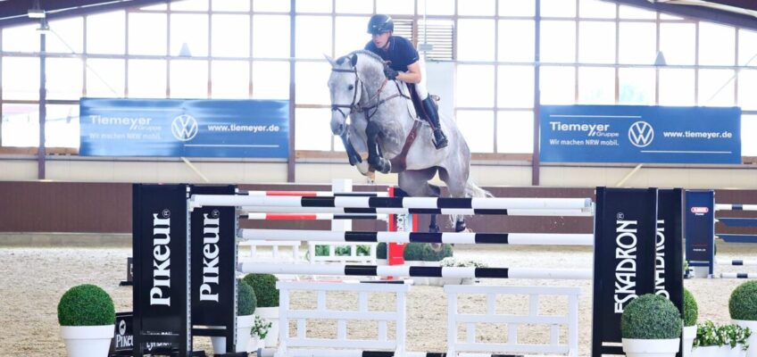 Angerichtet: Holger Hetzels 20. Springpferdeauktion, Goldene Momente und 21 großartige Offerten