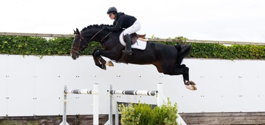 Spektakuläres Finale für Youhorse.auction: Drei Pferde für mehr als 50.000 € verkauft