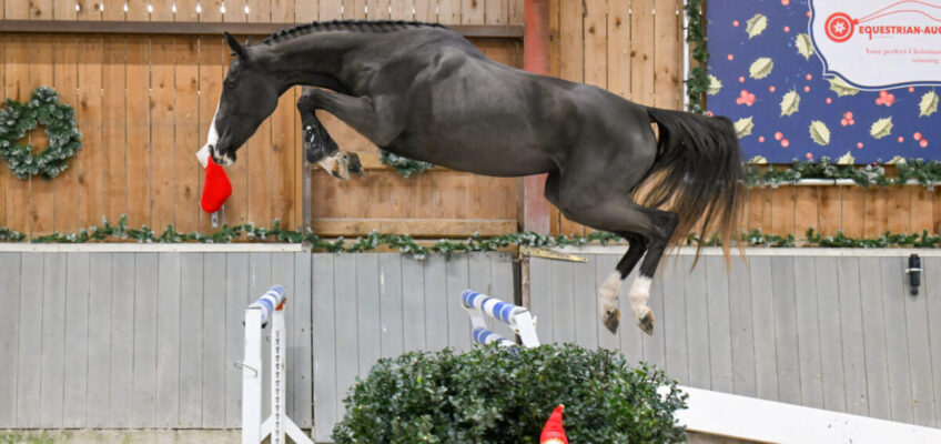 Christmas Free Jumping Sale bietet außergewöhnliche Talente! Nehmen Sie an der Feier zum Jahresende am Samstag, dem 13. Dezember, teil