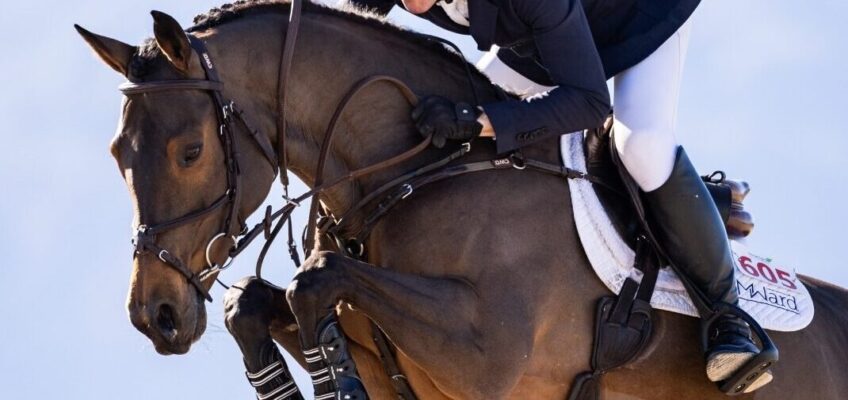 McLain Wards First Lady: Made in Germany erfolgreich in USA