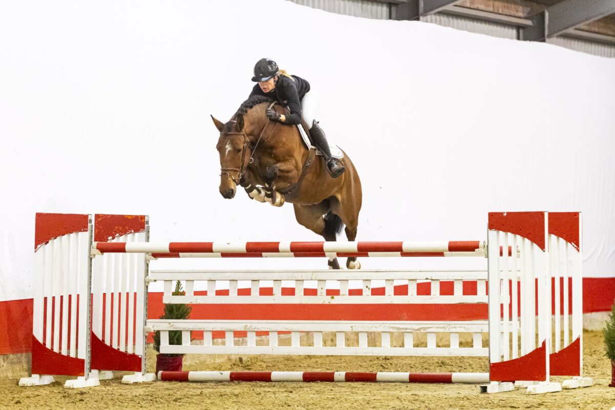 Youhorse.auction wraps up 2025 festively: Sales to 59 countries