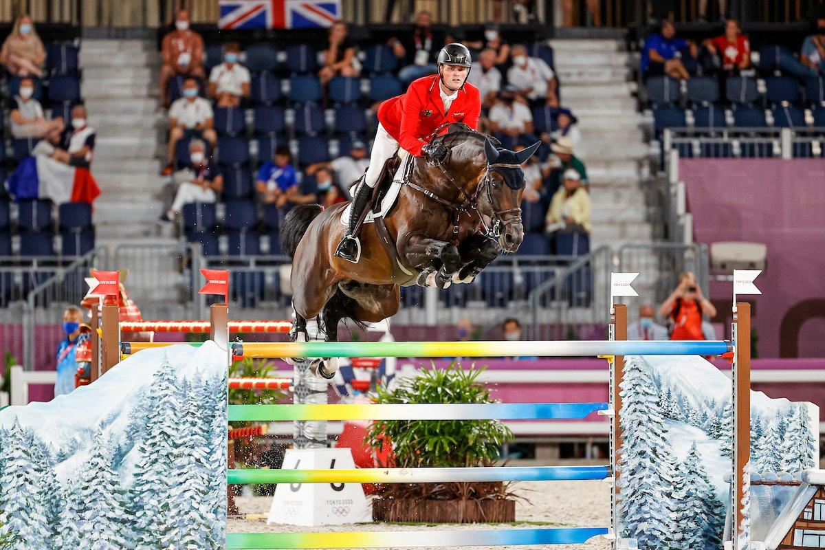 Don Diarado ist wieder zurück im Stall Tebbel – in neuer Box als Deckhengst