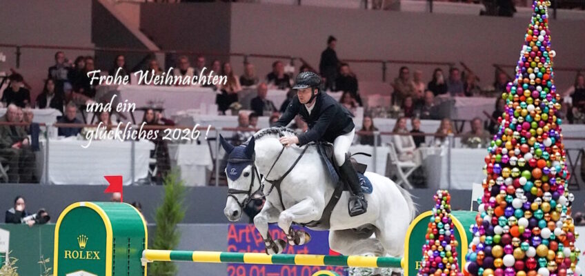 spring-reiter.de wünscht allen ein frohes Weihnachtsfest!