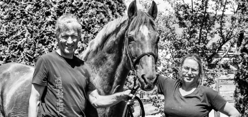 Traurige Nachrichten: Ludger Beerbaums Goldfever lebt nicht mehr