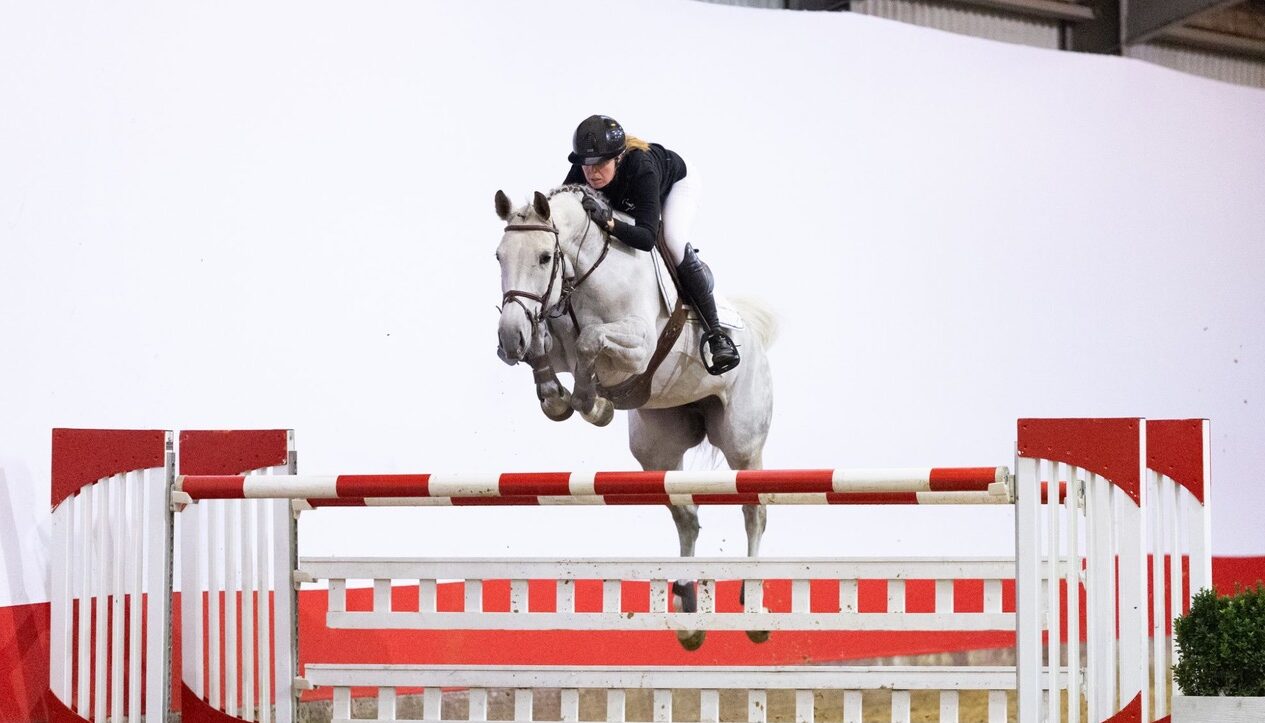 Die Valentine’s-Kollektion von Youhorse.auction ist online