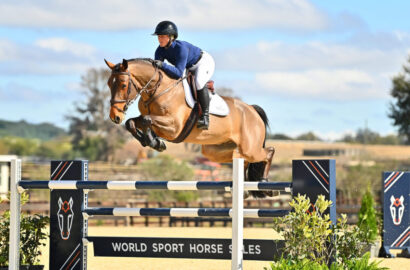 Die World Sport Horse Sales Auktion präsentiert ihre vielseitigste und talentierteste Kollektion für die vierte Ausgabe